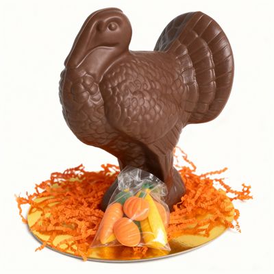 Chocolate turkey bundle visualization