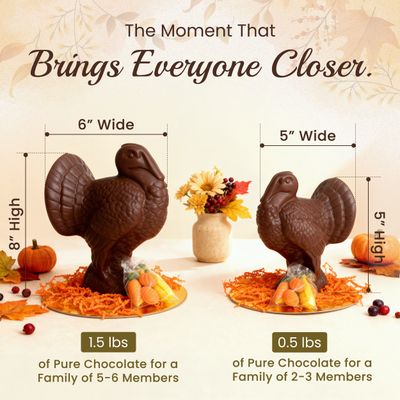 Chocolate turkey size comparison