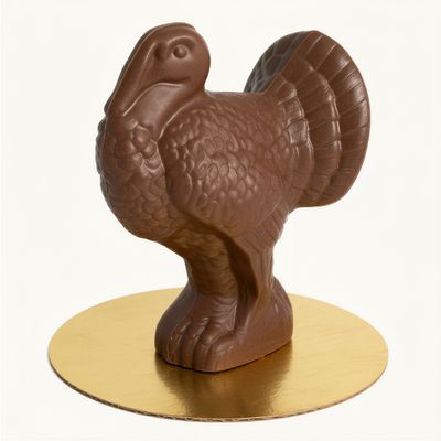 Original chocolate turkey image before optimization